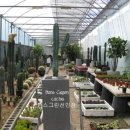 신목농장 이미지