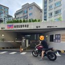 훈이오토바이자전거판매수리 | [동대문구 중고오토바이매입] 혼다 CB300R 특A급 무사고 재매입 후기 (아크라포빅 구변 완)