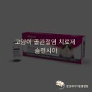 데이지동물병원 이미지