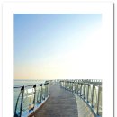 갈맷길 2-2코스 | 2025년 겨울 출사 여행 부산 편 - 부산갈맷길 2코스 1구간 송정에서 청사포까지 [2025.12.17]