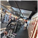 스마일피티 이미지