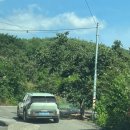 듀여펜션 | [경북/청도] 청도 키에튀드 펜션 두번째방문 내돈내산, 숲속에서 브라이덜샤워 후기