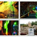 로뎀나무 민박 이미지