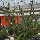 세나농장 이미지