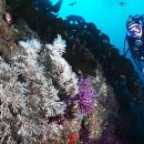 해송2로 이미지