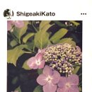 의산농장 이미지