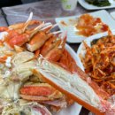 독도회집 | 영덕 축산항 대게 맛집 융창횟집 독도대게 2인 후기