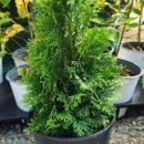 생명농장 이미지