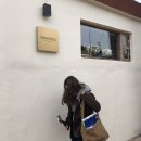 경주 1박 2일 여행 (SRT / 시즈닝 / 고도커피 / 디귿집 / 향화정 / 천마총 / 동궁과 월지 / 월정교...