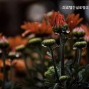 의료법인 실로암의료복지재단 이미지