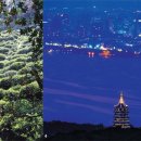 대운하 따라 중국 전역에 퍼진 ‘차(茶)’ 이미지