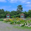 임미임미 이미지