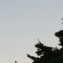 축령산풍경