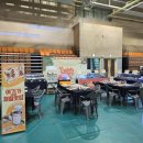 도마바얌 이미지