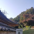 의마총義馬塚 이미지