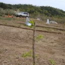 운주산농장 이미지