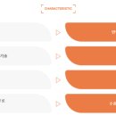 재상솔루션 이미지