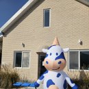 영식목장 이미지