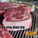 꿀먹은 돼지 | 제주 흑돼지 맛집 돈사돈 서귀포점 육즙 터지는 흑돼지 제대로 먹은 후기