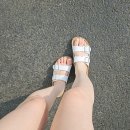 셀막스