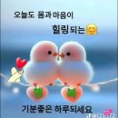 지혜의 사과 이미지