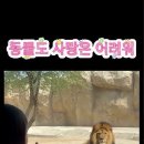 OK OK, he is yours 이미지