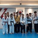 CHA태권도2 이미지