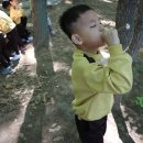 아천초등학교유치원 이미지