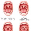 서현숲 가정의학과의원 이미지