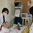 도토리하우스 이미지