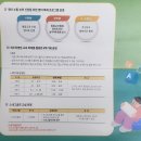 제주남초등학교 이미지