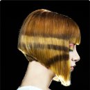 헤어미용사 이미지