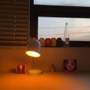 우정장 | 바 / 우정장] 내추럴 와인, 콥케 와인, 계절과일과 마스카포네 환상 조합, 이천 와인바 우정장 재방문 후기