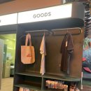 쉬갈 | [강남] 강남역 놀거리 직장인 운동 추천 분위기 힙한 암장 '클라이밍파크 강남' 난이도 상세 후기
