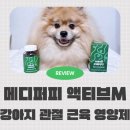 휴먼메디 | 고관절이형성증 노령견 포메라니안이 간식처럼 먹는 메디퍼피 강아지 관절 근육 영양제