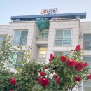 썬비치콘도텔 | 양양 서피비치 10분컷 , 하조대 펜션 다녀왔어요