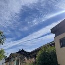 장미아파트 공영주차장 앞 | &lt;경주 카페&gt;&#34;보우하사&#34; 고즈넉감성의 커피 디저트 주차 맛집