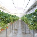 별마을농장 이미지