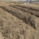 희정이네농장 이미지