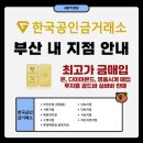 한국공인금거래소하단괴정지점