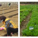 양수농장 이미지