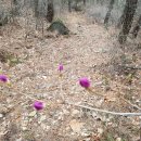 예전2리경로당 이미지