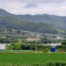 구미시농업기술센터 이미지