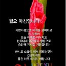 꽃다운 한 주 Daum카페