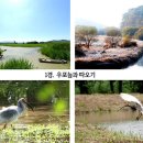 우포늪 광장 이미지