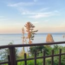 스테이 섬씽 울릉도 이미지