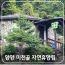 숲속의 정든집 야영장 | 양양 미천골 자연휴양림 산벚나무 숲속의집 숙박 후기