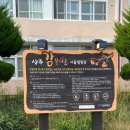 상주 감꽃마을 서울캠핑장 이미지