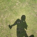 공천포별장 이미지