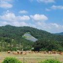 산정축산 이미지